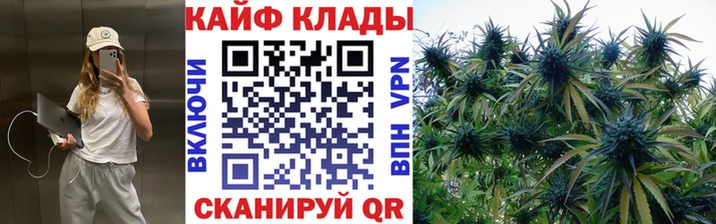 Наркота Власиха Конопля А ПВП ГАШИШ