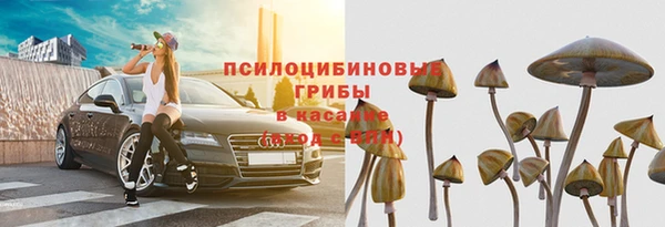 прущая мука Абаза