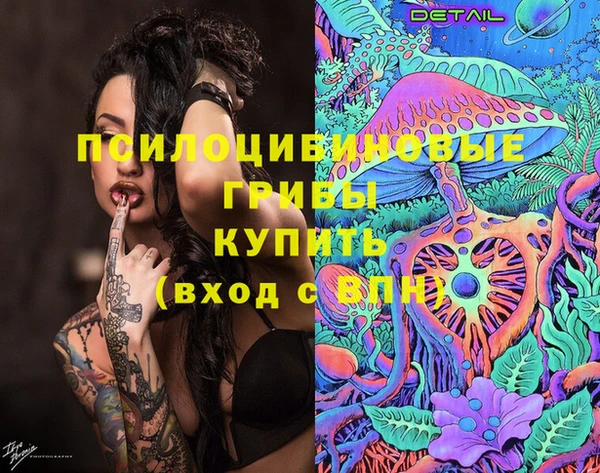 прущая мука Абаза