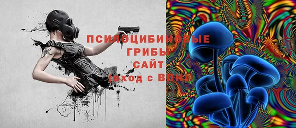 2c-b Абинск